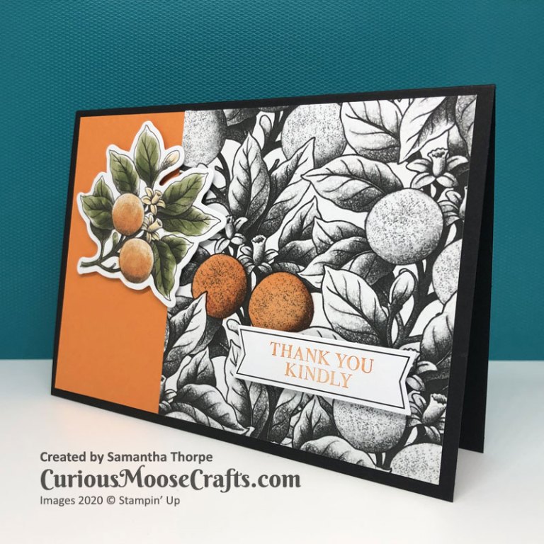 Botanical Prints Product Medley – Curious Moose Crafts
